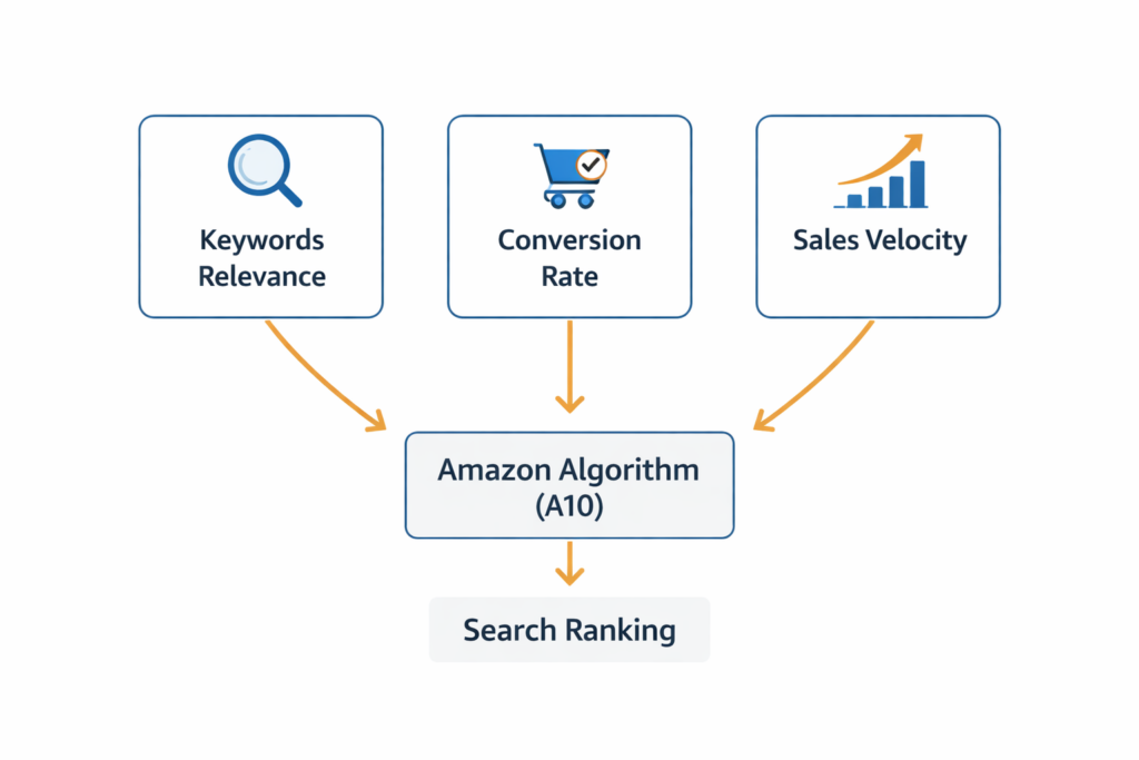 Schema del funzionamento dell’algoritmo Amazon che determina il ranking dei prodotti nei risultati di ricerca